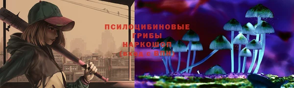 шишки Балабаново