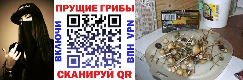 Галлюциногенные грибы прущие грибы  дарнет шоп  Козельск 